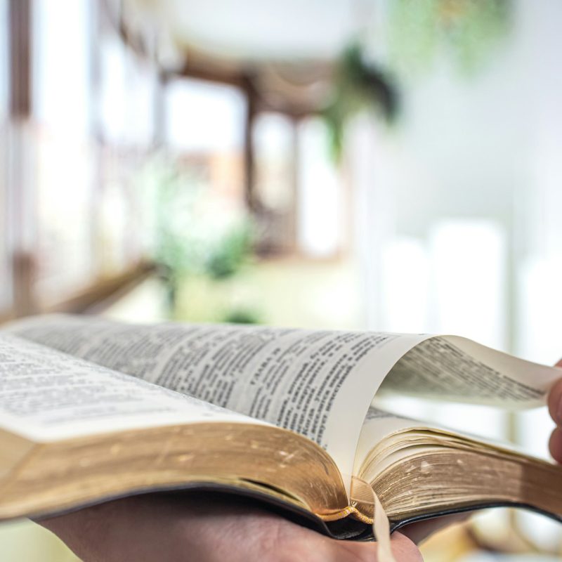 A man holds a Bible and reads a book on the terrace. Morning time.